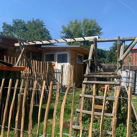 Blockhausvermietung "Vor Dem Groeperntor" Quedlinburg Eksteriør billede
