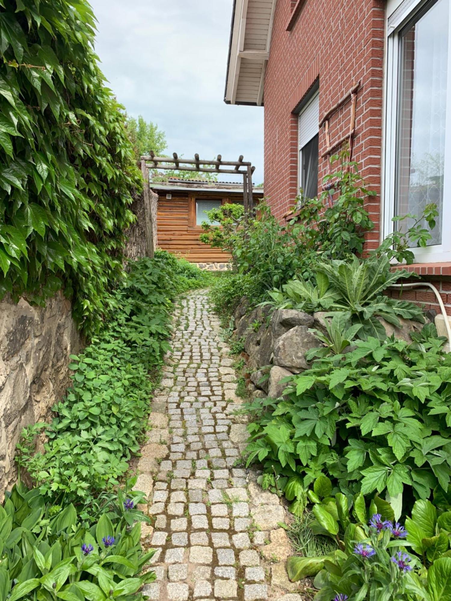 Blockhausvermietung "Vor Dem Groeperntor" Quedlinburg Eksteriør billede