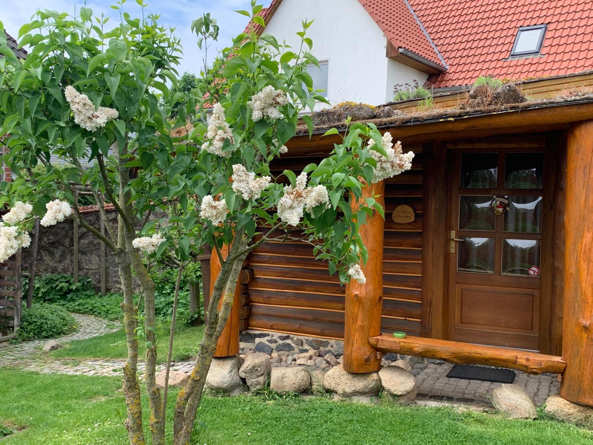 Blockhausvermietung "Vor Dem Groeperntor" Quedlinburg Eksteriør billede